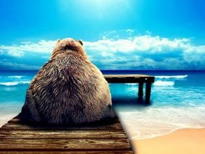 Минтруд предложил частично оплачивать проезд северян-льготников к месту отдыха за границей