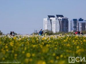 Якутянам рассказали, когда в республике установится летняя жара