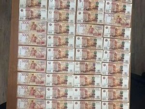 Якутские полицейские раскрыли мошенничество на 8,7 млн рублей: иностранцы обманули вдову военнослужащего из Амурской области