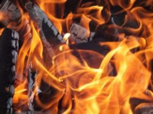 С виновника лесного пожара взыщут 6 млн рублей