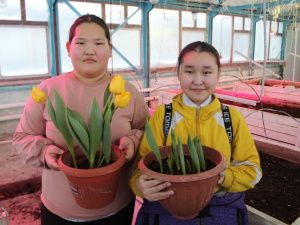 В Хангаласском районе Якутии школьники круглогодично выращивают овощи, цветы и ягоды