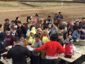 Дело массового субботника на ипподроме бывшей ЯГСХА рассмотрят в суде