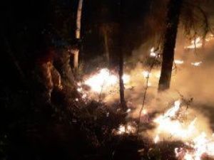 Глава Якутии: ситуацию с лесными пожарами держу на постоянном контроле