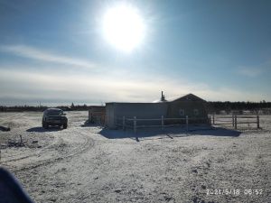 На якутском «гектаре» развивают традиционное коневодство