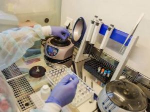 На базе поликлиники №1 открылась ПЦР-лаборатория