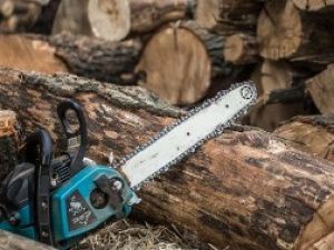 В Покровске мужчина получил три года строгого режима за кражу бензопилы