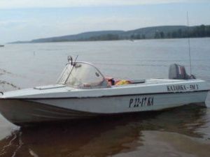 В Верхнеколымском улусе мужчину приговорили к пяти годам условно за смерть пассажира, выпавшего из лодки