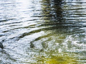 Дети продолжают гибнуть на воде