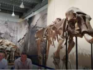 Самая северная стоянка древних людей обнаружена в Якутии