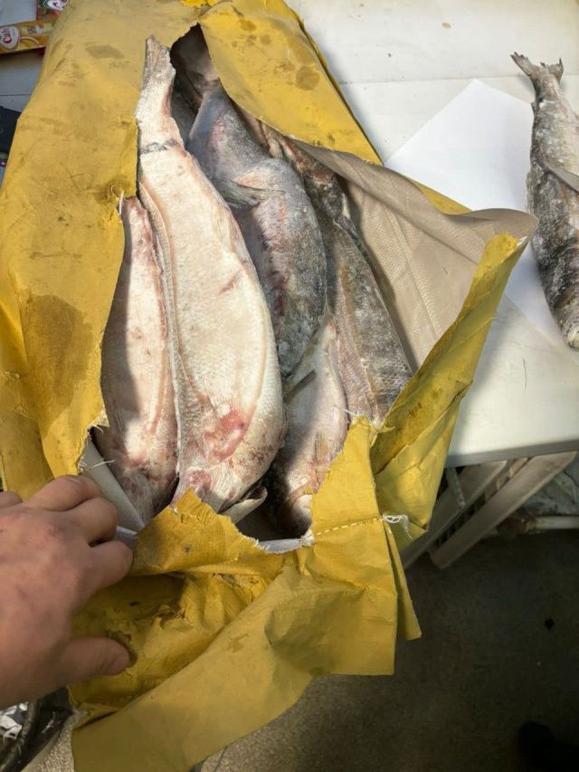 У предпринимателя похитили более пяти тонн замороженного омуля