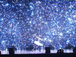 Фоторепортаж. Бал чемпионов Якутии — 2024