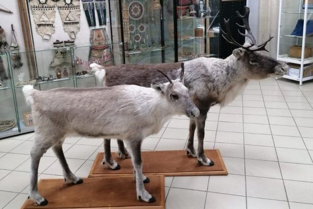 Алданский музей приобрел новые экспонаты