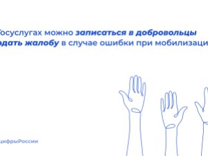 На Госуслугах можно подать жалобу на ошибочную мобилизацию