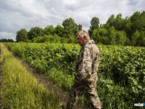 Бураков в малине: топ-менеджер из Якутии осел под Новосибирском и стал фермером