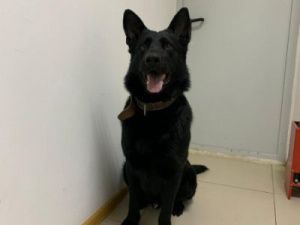 В Якутске ужасно прошла ночь молодоженов