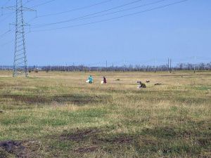 Владимир Федоров поручил усилить системную работу по санитарной очистке территорий