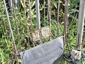 Контроль за работами, ровные ряды и благоустройство территории: что изменится на кладбищах Якутска