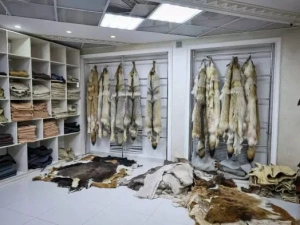 Верховный суд Якутии переиграл: уголовное преследование экс-директора «Сахабулта» не прекращено