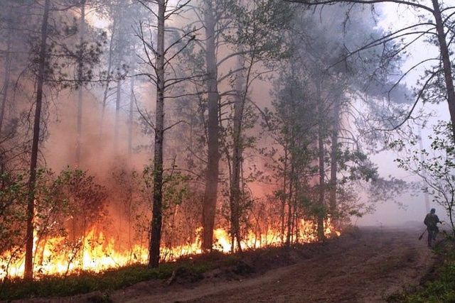 Мирнинское управление автомобильных дорог АЛРОСА способствовало лесным пожарам