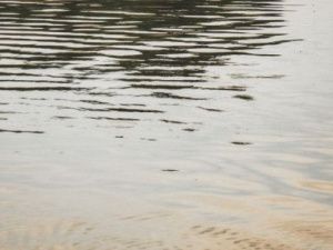 Хроника Службы спасения РС(Я): В Олекминском районе продолжаются поиски троих человек