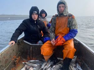 «Муус устар-2024»: Аллаиховский район выставит представителей по семи направлениям фестиваля