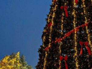 В городском парке Якутска засияет волшебство