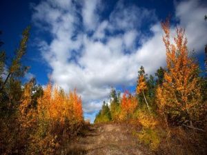В Якутии отменен особый противопожарный режим