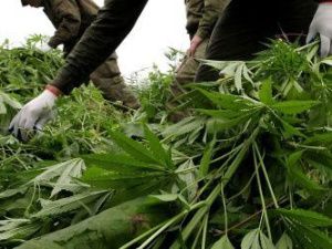 СМИ: В Якутии прошли задержания полицейских