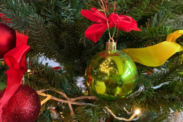 Живая ель на Новый год: как получить ее законно в Якутске