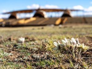 В местности «Үс Хатыҥ» пройдет городской субботник