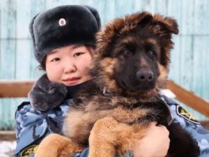 В кинологическую службу УФСИН прибыло пополнение