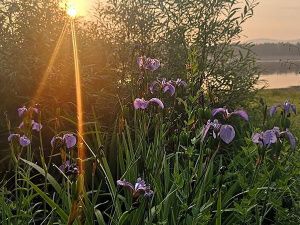 Итоги онлайн фотоконкурса "В объективе: Просторы Якутии" 