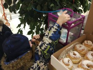 Безумное чаепитие в «Чудо-парке»