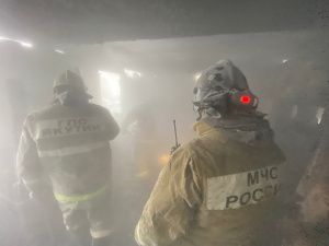 Окурок и закон: как дознаватели МЧС раскрыли пожар в селе Ыллымах