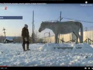 Рядом с Якутском лошадь нашла «друга» в виде скульптуры