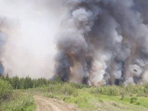 Жители Верхоянского района просят помощи у Ил Дархана