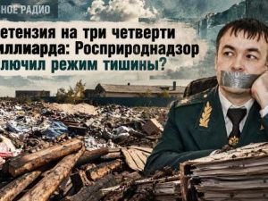 Претензия на три четверти миллиарда: Росприроднадзор включил режим тишины?