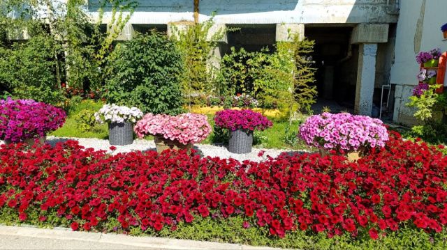 В Якутске стартовал второй этап конкурса «Зеленый кубок столицы»