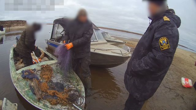 В Якутии за незаконный вылов сибирских осетров задержаны братья 78 и 74 лет