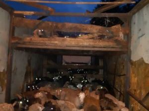 Баранов без документов арестовали в Якутии