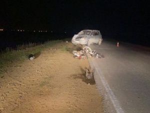 Смерть на дороге: дети на мопеде выехали на встречную полосу