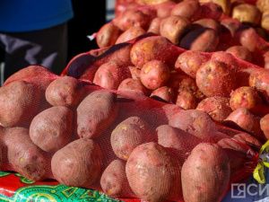 Более 140 тонн грузов завезли «зелеными рейсами» в арктические районы Якутии