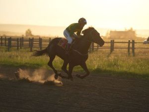 Сильный ветер и 35-градусная жара ждут Якутию 30 июня 