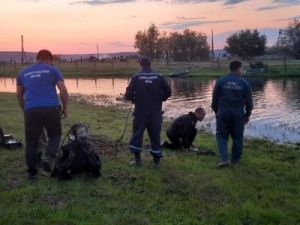 Прокуратура начала проверку по факту гибели несовершеннолетних детей