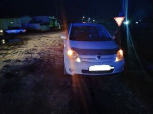 В селе Майя водитель-пенсионер наехал на велосипедистку-пенсионерку