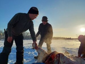 Айсен Николаев принял участие в традиционном забое скота