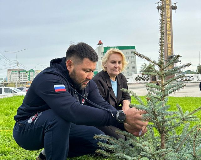 Голубые ели высадили на площади Победы в Якутске