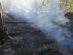 Жемконцы стоят на переднем крае в борьбе с огнем