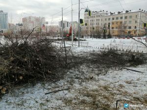 Фото дня. В Якутске на проспекте Ленина вырубили деревья