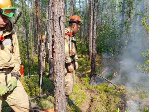 Свыше 1300 человек задействовано в тушении пожаров в Якутии